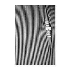 p-8598-2442.jpg