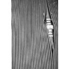 p-8598-2442.jpg