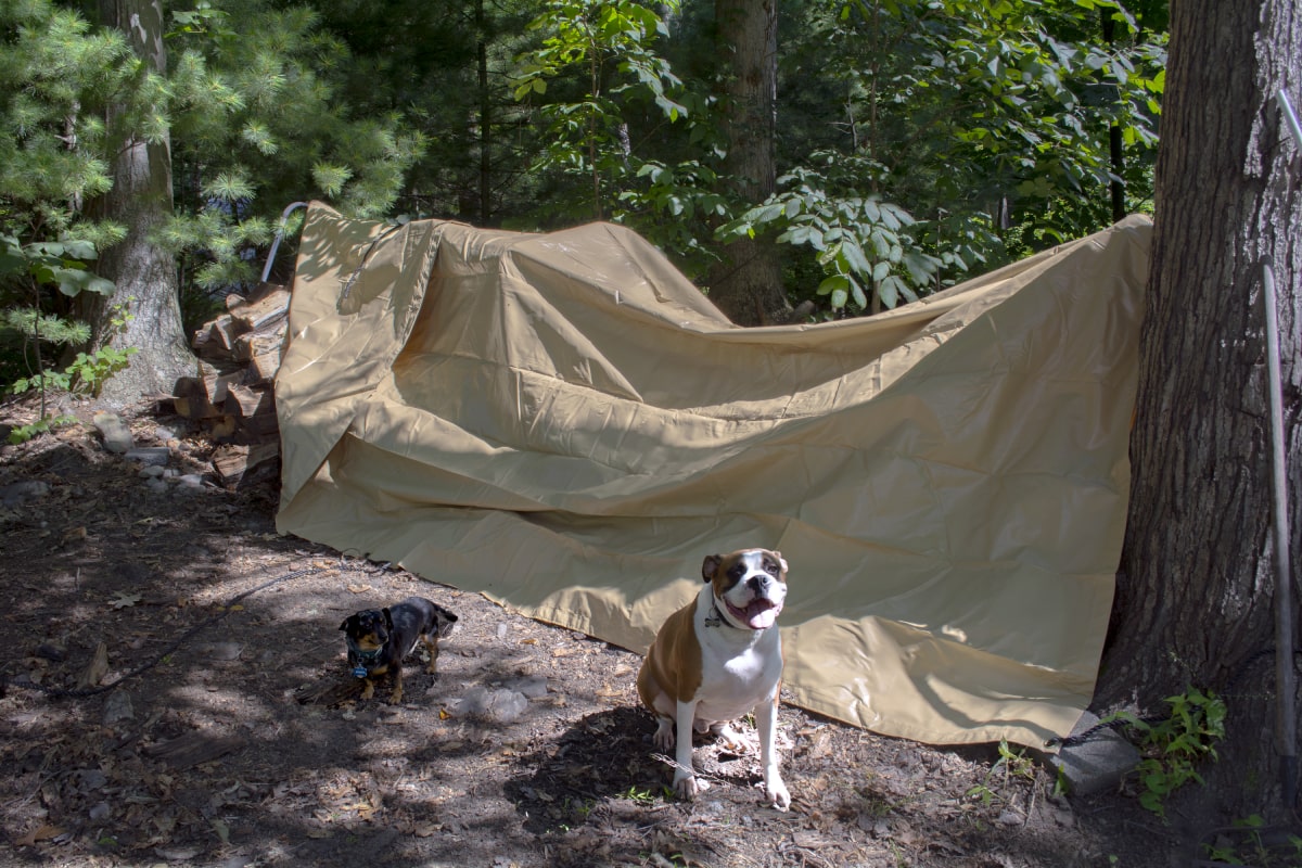 Got Roof Damage? You May Need a Tarp till the Pros Get There 