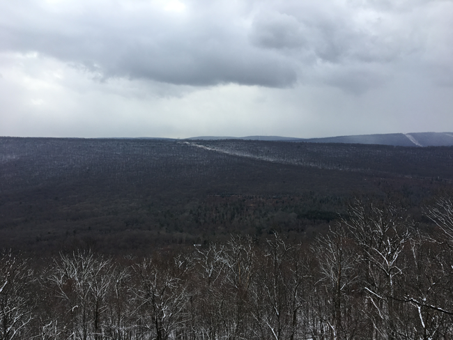 Sakanic Forest with Mountains and Trees Covered in Winter