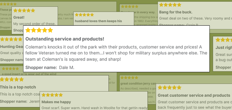 Customer Reviews
